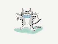 cartoon image of cat wearing a blue non-surgical mask